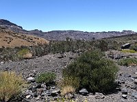 Foto 090